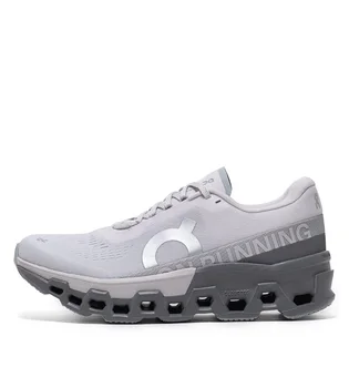 Кроссовки женские On Cloudmonster 2 Grey 3WE10112564