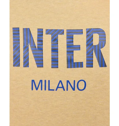 Худи мужское Nike Inter Mnsw Club Beige FQ3095-714