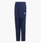 Штаны детские Adidas Tiro Blue Dt5781