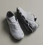 Кроссовки мужские Mizuno Wave Prophecy Ls White D1GA333702