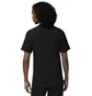 Футболка мужская Air Jordan T-Shirt Black HJ2358-010