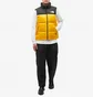 Жилетка чоловіча The North Face 1996 Retro Nuptse Vest Yellow/Black NF0A3JQQZU3