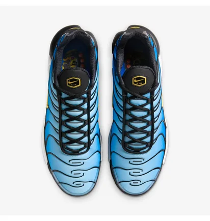 Кроссовки мужские Nike Air Max Plus Og Blue DX0755-001