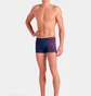 Плавки мужские Arena Foggy Dots Swim Short Blue 008483-700