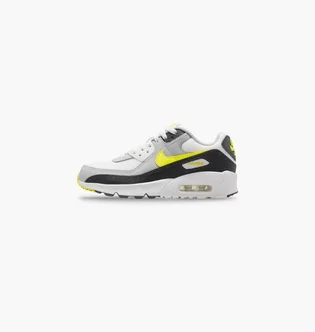 Кроссовки детские Nike Air Max 90 White IQ0098-100