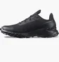 Кроссовки мужские Salomon Alphacross 5 Black 473131