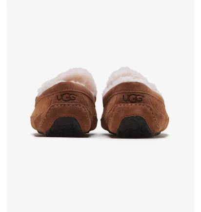 Тапочки чоловічі Ugg Ascot Brown 1101110-Che