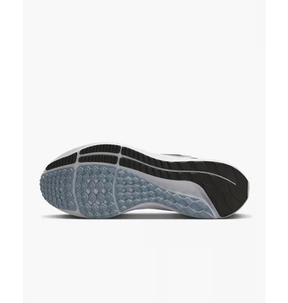 Кросівки чоловічі Nike Pegasus 39 Black Dh4071-010