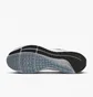 Кросівки чоловічі Nike Pegasus 39 Black Dh4071-010