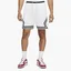 Шорти чоловічі Air Jordan Dri-Fit Air Diamond White DH9075-100