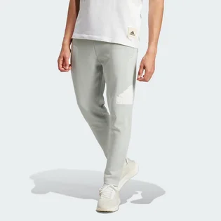 Штаны мужские Adidas Future Icons Badge Of Sport Sportswear Grey IJ6402