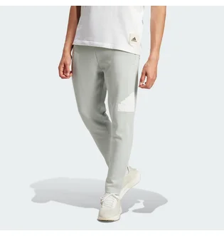 Штани чоловічі Adidas Future Icons Badge Of Sport Sportswear Grey IJ6402