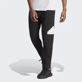 Штани чоловічі Adidas Future Icons Badge Of Sport Pants Black Ic3759