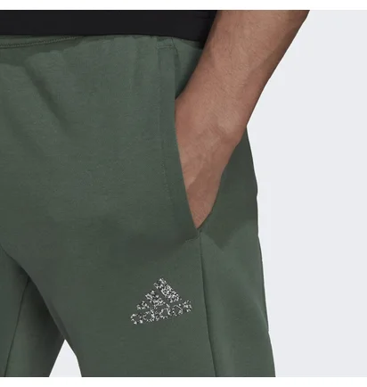 Штаны мужские Adidas Fl Recbos Pt1 Green Hm7892