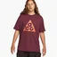Футболка чоловіча Nike Lab Acg Short-Sleeve T-Shirt Bordo DJ3644-681