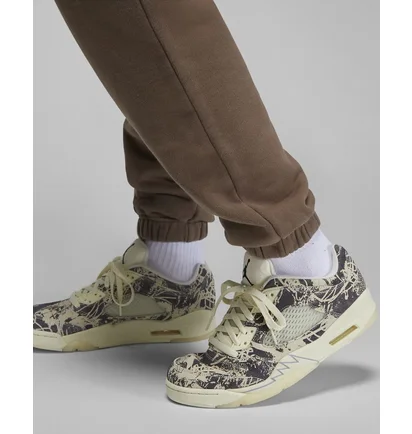 Штаны женские Air Jordan Woodmark Pant Brown DV6471-270