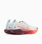 Кроссовки мужские Nike Pegasus Trail 5 Gtx White FQ0908-104