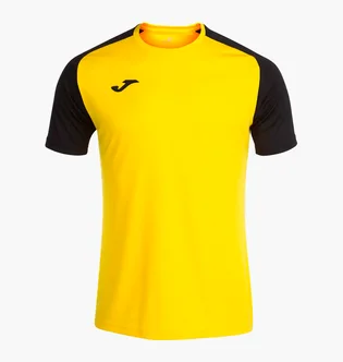 Футболка чоловіча Joma Academy Iv Yellow/Black 101968.901