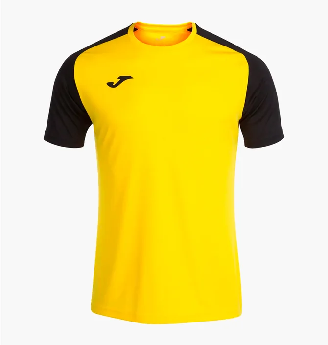 Футболка чоловіча Joma Academy Iv Yellow/Black 101968.901