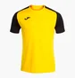 Футболка чоловіча Joma Academy Iv Yellow/Black 101968.901