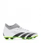 Бутсы унисекс Adidas Predator Accuracy .4 S Fg White GZ0016