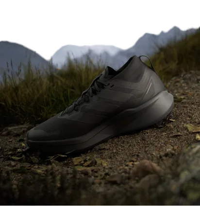 Кросівки чоловічі Adidas Terrex Agravic Gtx Black JR5240