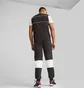 Штаны мужские Puma Bmw M Rsport Sds Black 621867-01