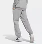 Штаны детские Adidas J All Season Gfx Grey JC7640