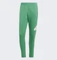 Штани чоловічі Adidas Future Icons Badge Of Sport Pants Green IC3763