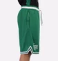 Шорты мужские Nike Boston Celtics Green DB1793-312