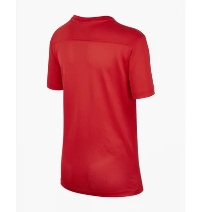 Футболка детская Nike Y Nk Df Park Vii Jsy Ss Red Bv6741-657