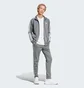 Спортивный костюм мужской Adidas Basic 3-Stripes Tricot Track Suit Grey IY6649