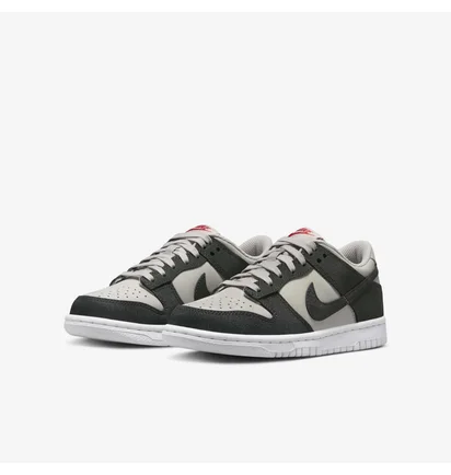 Кросівки дитячі Nike Dunk Low Light Grey FZ1000-001