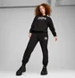 Штаны женские Puma Class Sweatpants Black 685037-01