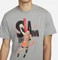 Футболка чоловіча Air Jordan Game 5 Grey DH8948-091