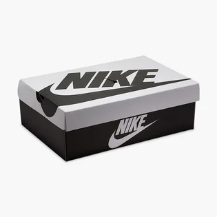 Кросівки чоловічі Nike Dunk Low Retro S E MenS Shoes Violet/Brown IB2990-500