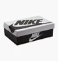 Кроссовки мужские Nike Dunk Low Retro S E MenS Shoes Violet/Brown IB2990-500