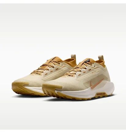 Кроссовки женские Nike Reactx Pegasus Trail 5 Gtx Sp Beige HQ7494-700