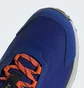 Кросівки чоловічі Adidas Terrex Anylander Hiking Blue IH3546