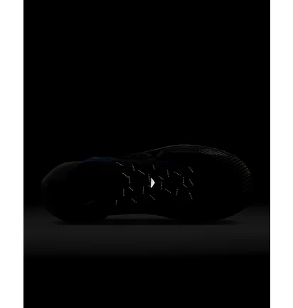 Кроссовки мужские Nike Pegasus Trail 4 Gore-Tex Waterproof Trail Running Shoes Black DJ7926-003