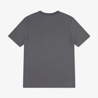 Футболка детская Air Jordan Practice Grey 95F539-783