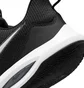 Кроссовки унисекс Nike Precision 5 Flyease Black DC5590-003