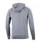 Толстовка мужская Ellesse Cellamare Track Top Grey SHR17437-109