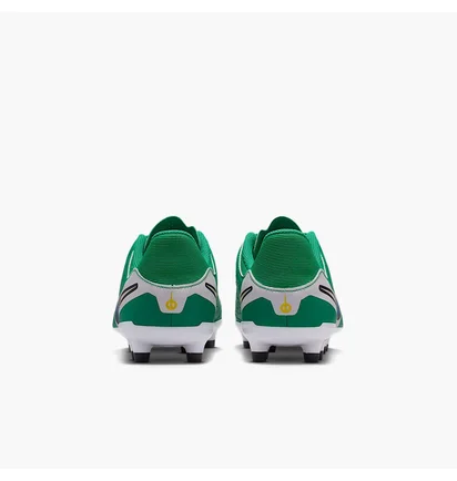 Бутсы детские Nike Legend 10 Academy Fg/Mg Lv8 Green HJ7190-300