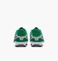 Бутсы детские Nike Legend 10 Academy Fg/Mg Lv8 Green HJ7190-300