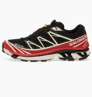 Кроссовки мужские Salomon Xt-6 Gore-Tex Black L47974900