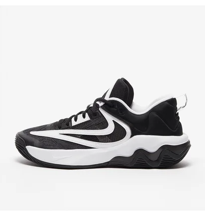Кроссовки унисекс Nike Giannis Immortality 3 Black/White DZ7533-003