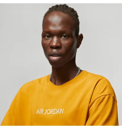 Футболка мужская Air Jordan Tee Brown DO6098-712