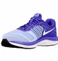 Кроссовки женские Nike Wmns Dual Fusion X Violet 709501-401