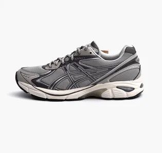 Кроссовки мужские Asics Gt-2160 Grey 1203A320-020